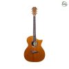 Gopher Wood G-420CE