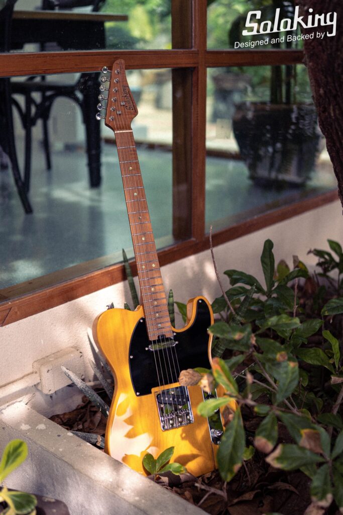 Soloking MT-1 Custom ASH/Roasted Butterscotch Blonde