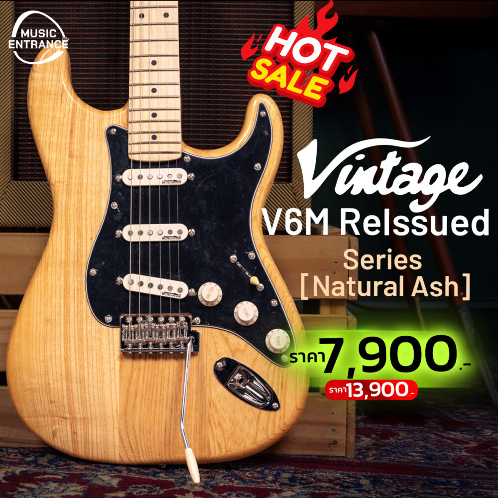 Vintage V6M ReIssued Series - Natural Ash