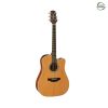 Takamine GD20CE