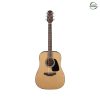 Takamine GD10