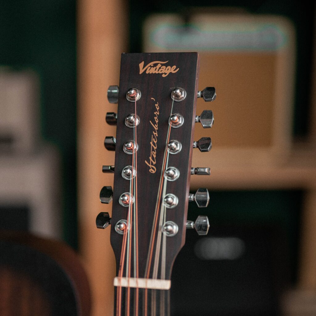 Vintage VE-440WK Statesboro Series [12-String]