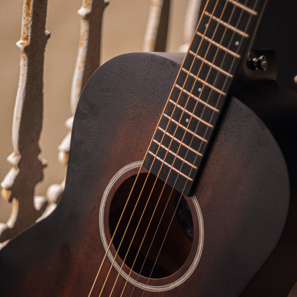 Vintage VE-880WK Statesboro Series [Parlour]