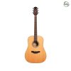 Takamine GD20