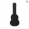 Acoustic Guitar Case PG-3902