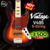 Vintage V495 5-String