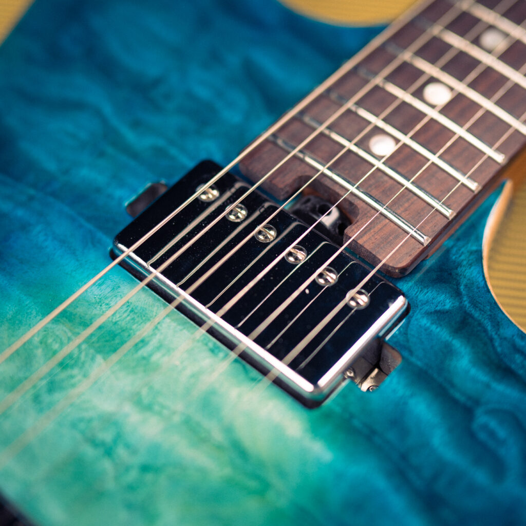 Soloking MS-1 Custom FB HH