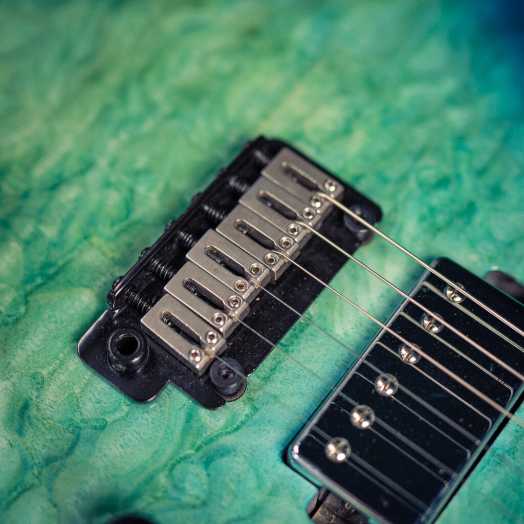 Soloking MS-1 Custom FB HH