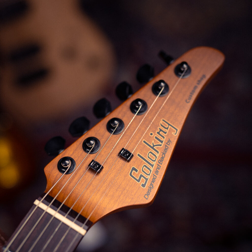 Soloking MS-1 Custom FB HH
