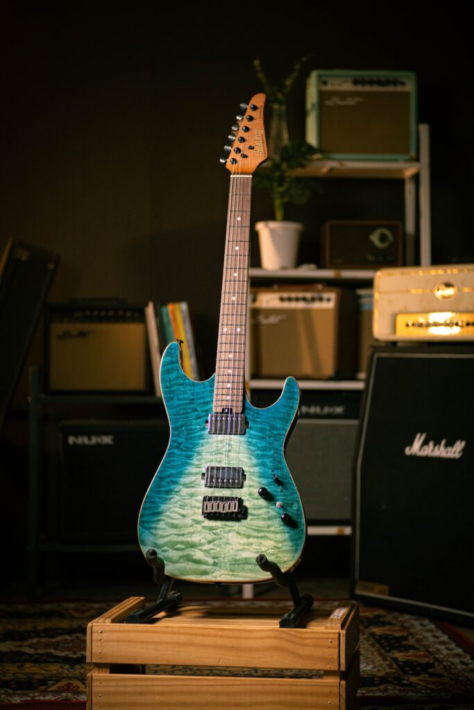Soloking MS-1 Custom FB HH