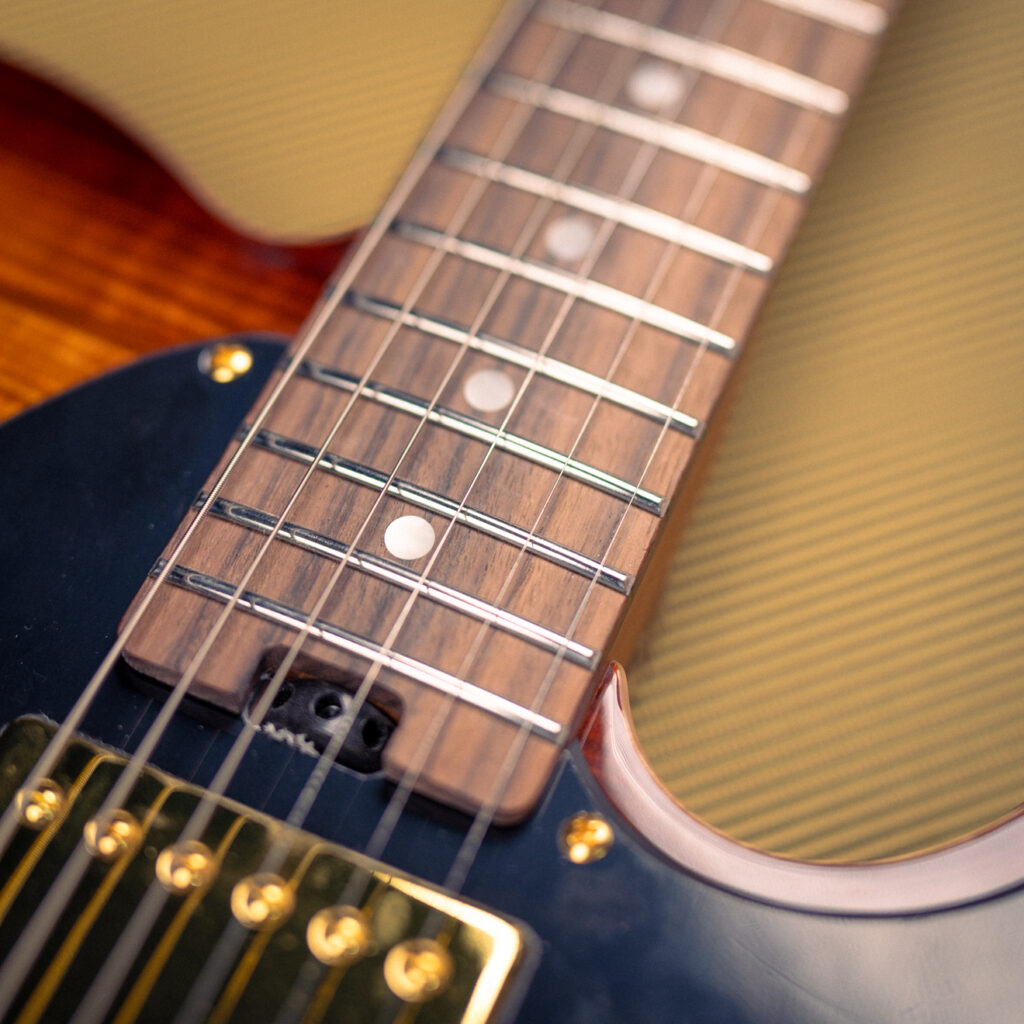 Soloking MT-1 FM Deluxe Rosewood [Shade Edgeburst]