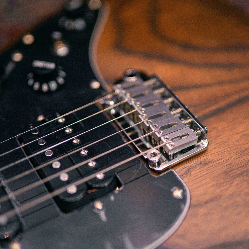 Soloking MS-1 Classic ASH [Torched Black]