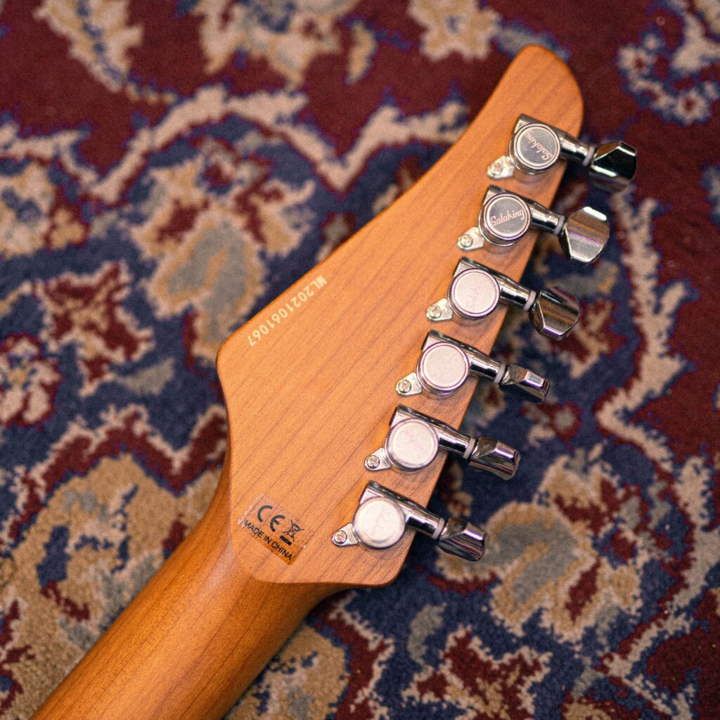 Soloking MS-1 Classic ASH [Torched Black]