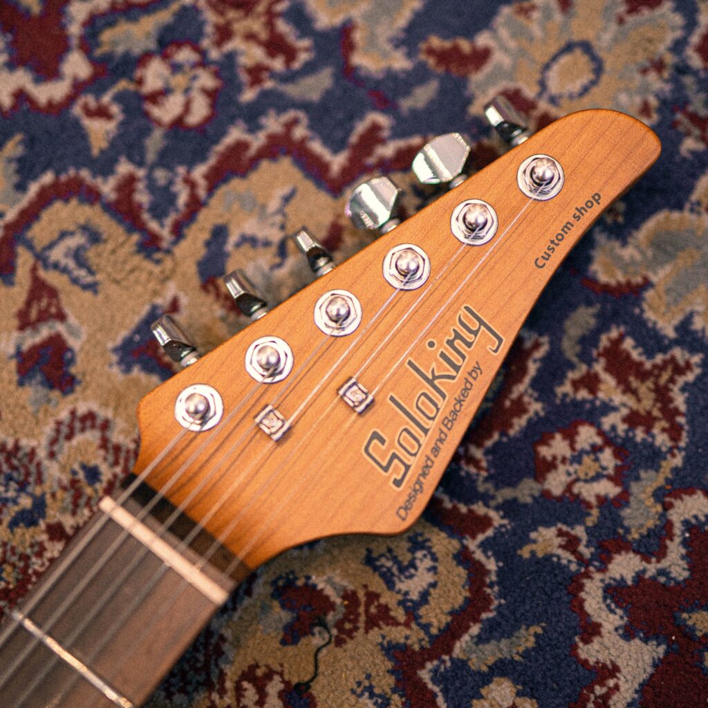 Soloking MS-1 Classic ASH [Torched Black]