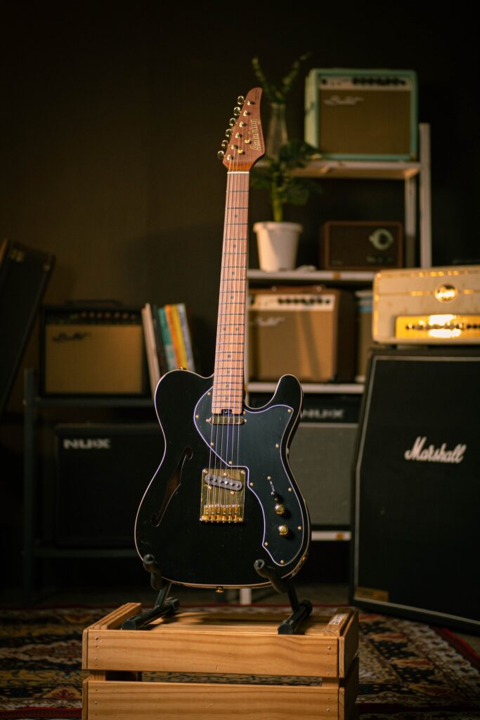 Soloking MT-1 Thinline with Gold Hardware SS In Beauty Black