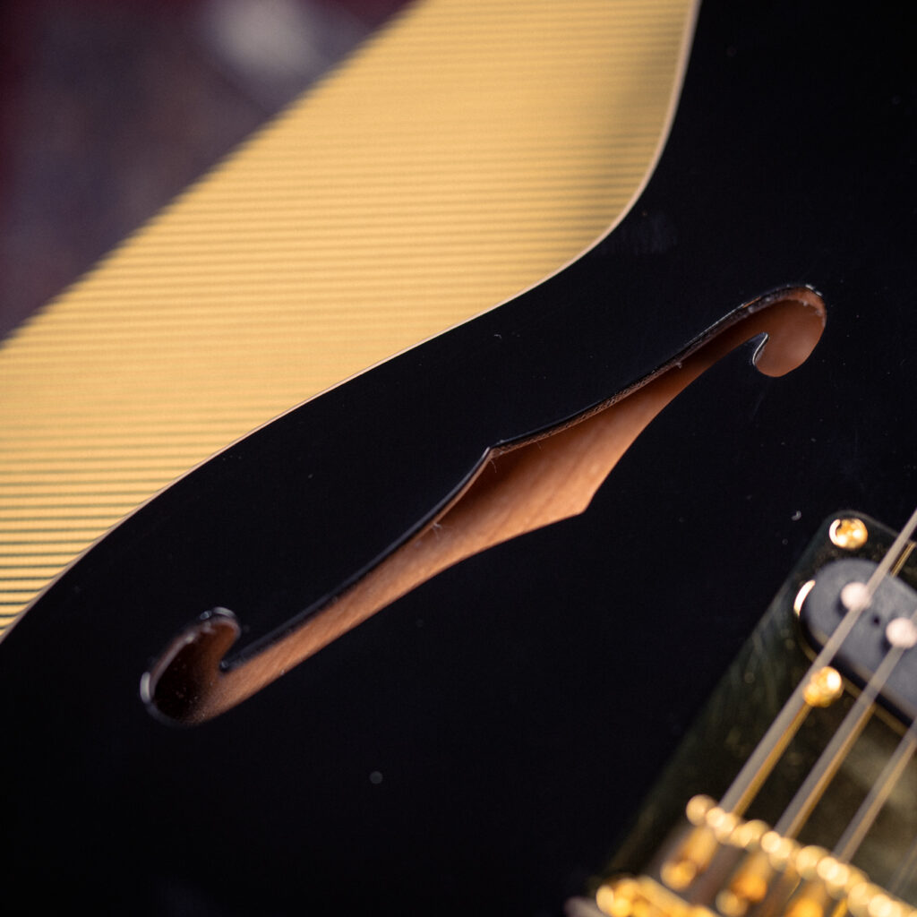 Soloking MT-1 Thinline with Gold Hardware SS In Beauty Black