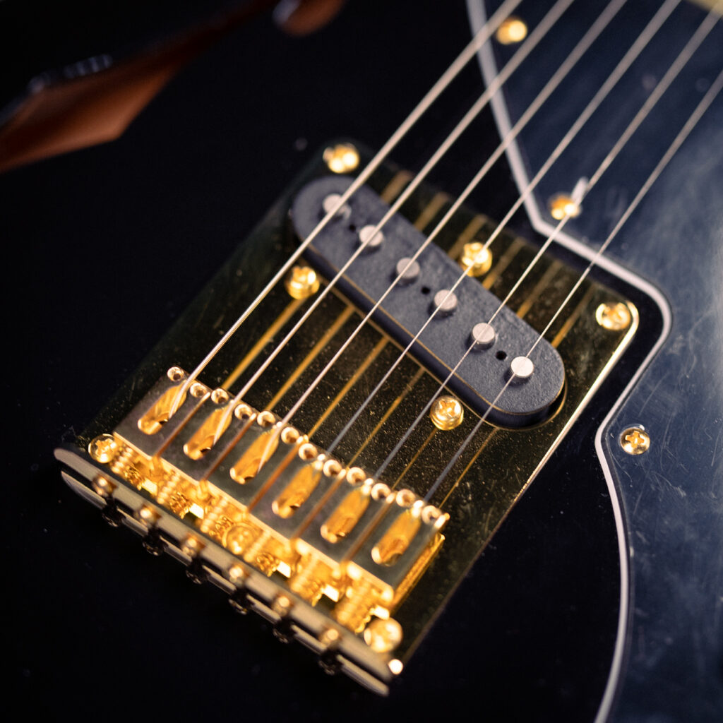 Soloking MT-1 Thinline with Gold Hardware SS In Beauty Black