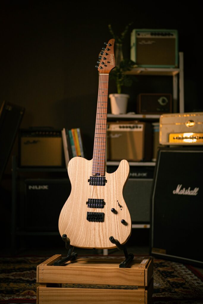 Soloking MT-1 Modern ASH HH
