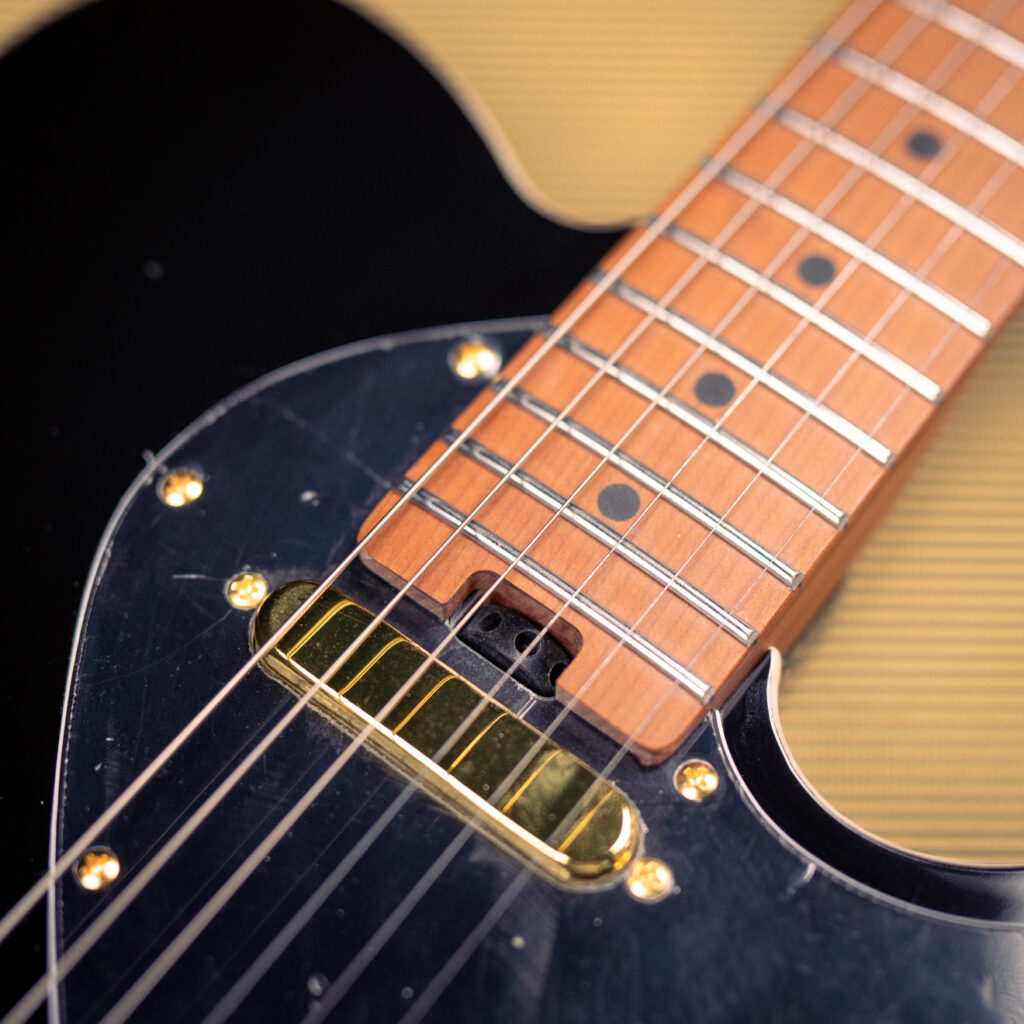 Soloking MT-1 Thinline with Gold Hardware SS In Beauty Black