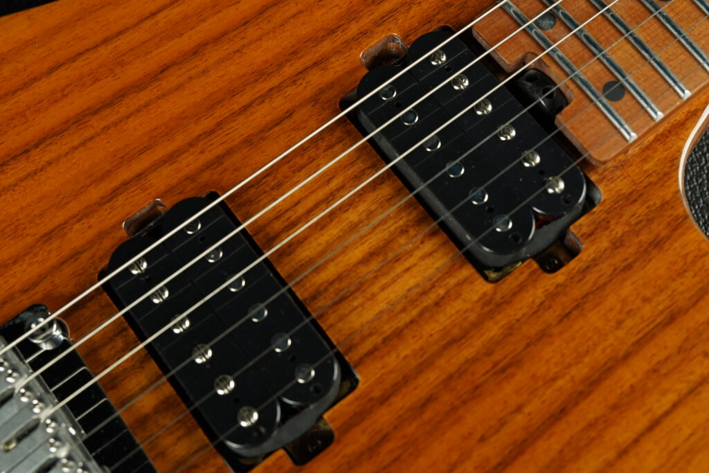Soloking MS-1 Custom Canadian Maple FB HH In Natural Same Neck Color