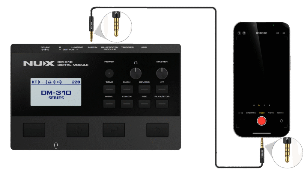 NUX DM-310