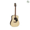 Takamine GD51