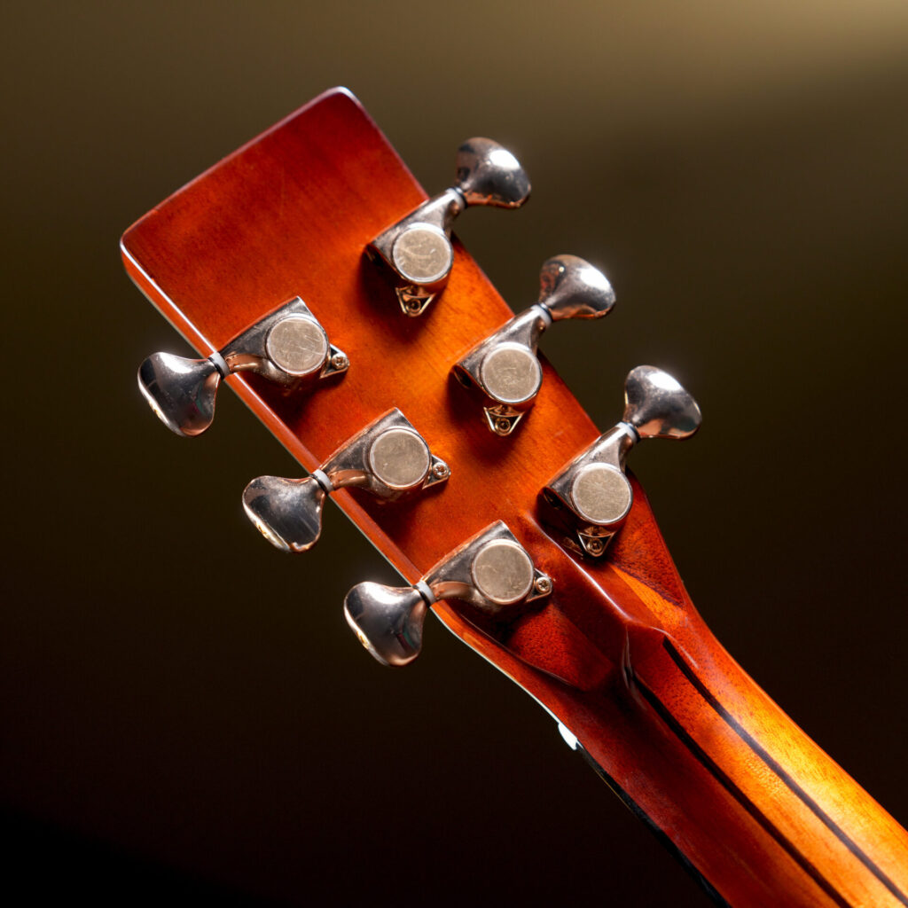 Kazuki GA41 Dragon Vine Acoustic Guitar