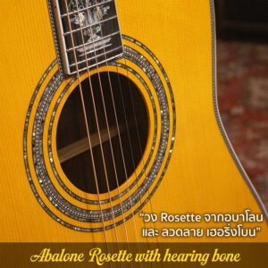 Kazuki Heritage Collection KD-100 The Legacy Recrafted กีตาร์โปร่ง