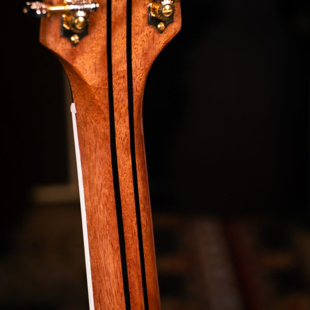 Kazuki Custom Shop Master Collection The Jungle Tiger กีตาร์ไฟฟ้า Limited Edition