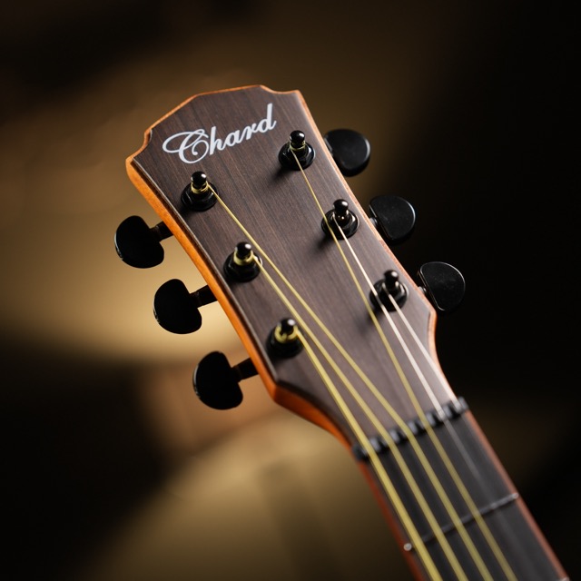 กีตาร์โปร่ง CHARD F39A-SK ไม้ Mahogany ขนาด 39 นิ้ว เหมาะสำหรับผู้เริ่มต้นและนักดนตรี